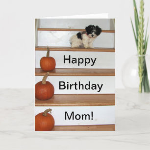 Cartão Feliz Aniversário Mãe - cachorrinho e abóbora Hava