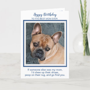 Cartão Feliz aniversário Mãe Cachorro Engraçado Mundos