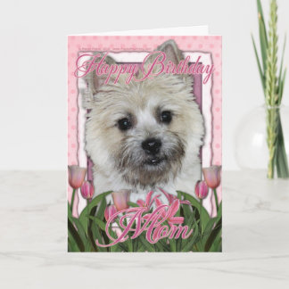 Cartão Feliz aniversário Mãe - Cairn Terrier - Urso de Te