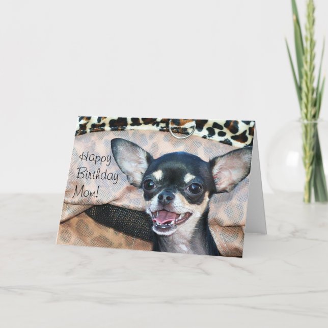 Cartão Feliz Aniversário, mãe Chihuahua. (Frente)