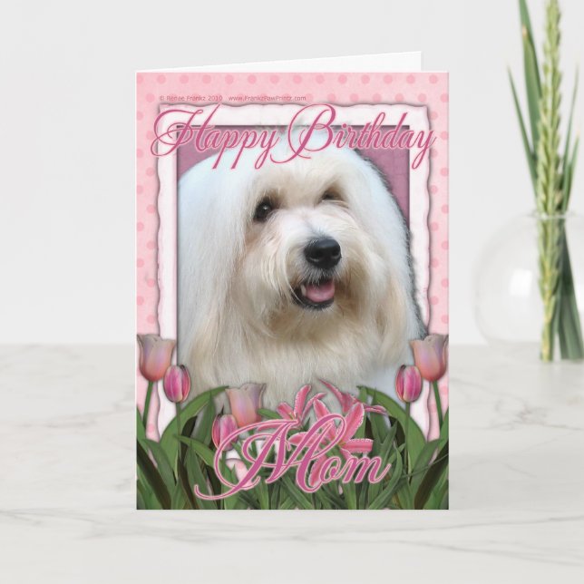 Cartão Feliz aniversário Mãe - Coton de Tulear (Frente)