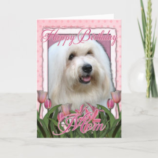 Cartão Feliz aniversário Mãe - Coton de Tulear