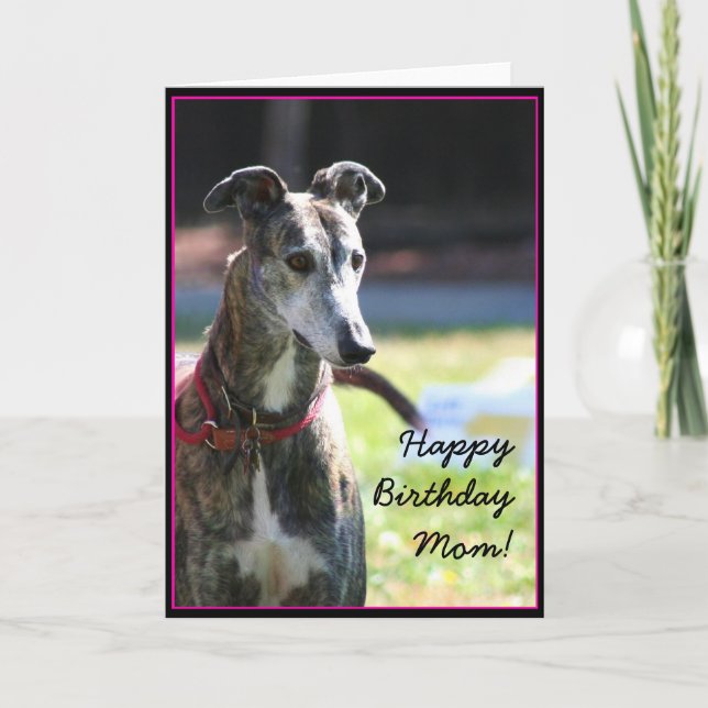 Cartão Feliz Aniversário, mãe Greyhound. (Frente)