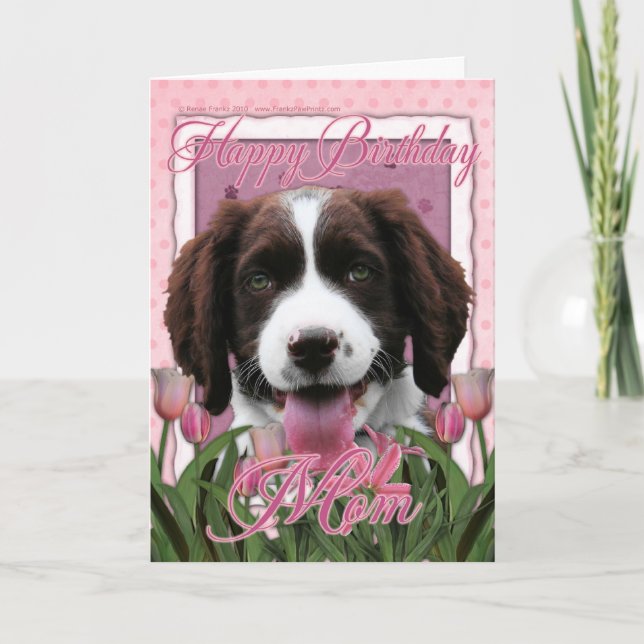 Cartão Feliz Aniversário Mãe - Inglês Springer Spaniel (Frente)
