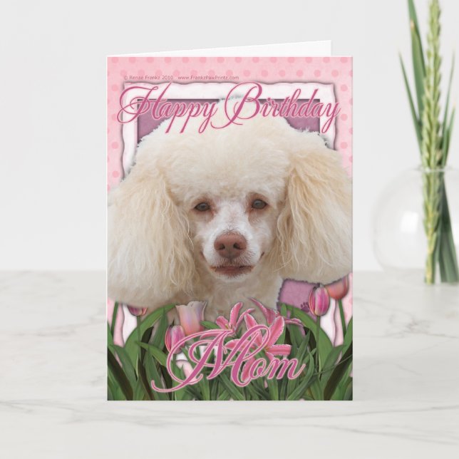 Cartão Feliz aniversário Mãe - Poodle (Frente)