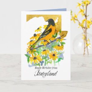 Cartão Feliz Aniversário Maryland Baltimore Oriole Bird