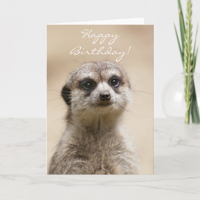 Cartão Feliz aniversário Meerkat (Frente)