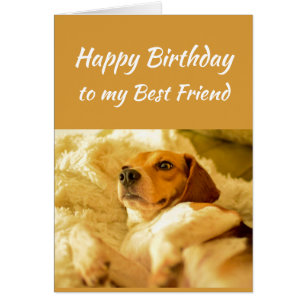 Cartão Feliz Aniversário, Melhor Amigo de Idade Real, Cão