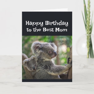 Cartão Feliz Aniversário Melhor Mamãe Urso Coala Fofo Mãe