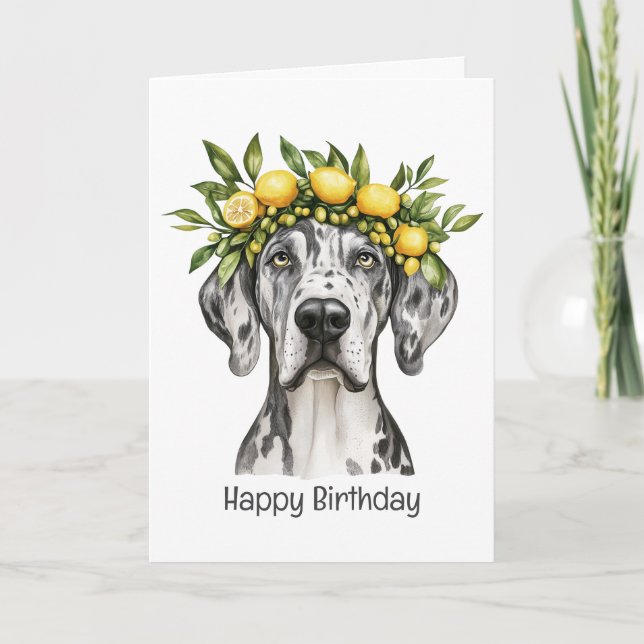 Cartão Feliz aniversário Merle Great Dane Dog Lemon Crown (Frente)