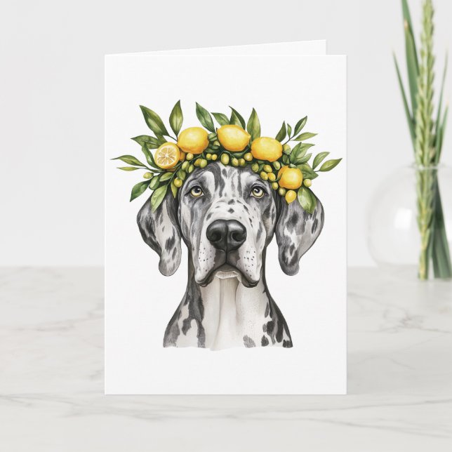 Cartão Feliz aniversário Merle Great Dane Dog Lemon Crown (Frente)
