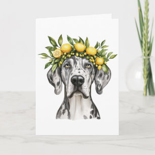 Cartão Feliz aniversário Merle Great Dane Dog Lemon Crown