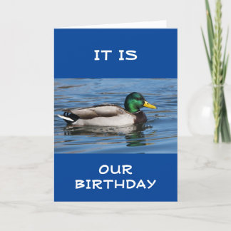 CARTÃO FELIZ "ANIVERSÁRIO MÚTUO" SÓ DUCKIE!!! CARTAO