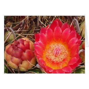 Cartão Feliz Aniversário Nana Bright Pink Cactus Bloom Fo