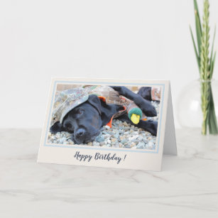 Cartão Feliz Aniversário Negro Labrador Cute Caça Cachorr