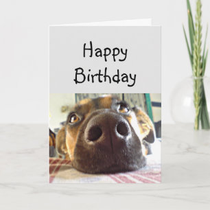 Cartão Feliz Aniversário NOME Cachorro Bonito