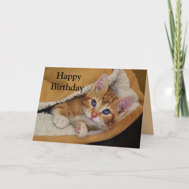 Cartão Feliz aniversário, Orange Tabby Kitten na cama (Frente)