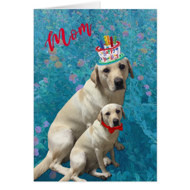 Cartão Feliz aniversário para a mãe - Cães Labradores, Ad (Frente)