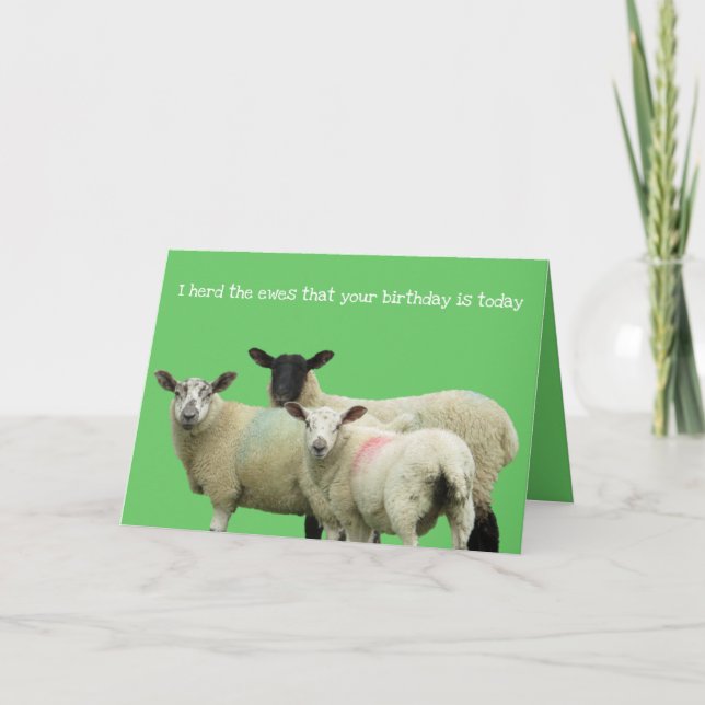 Cartão Feliz aniversário para a ovelha (Frente)