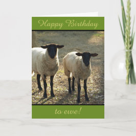 Cartão Feliz Aniversário para Ewe do Bando! Personalizáve