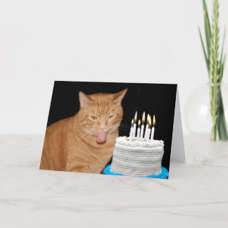Cartão Feliz aniversário para gatos