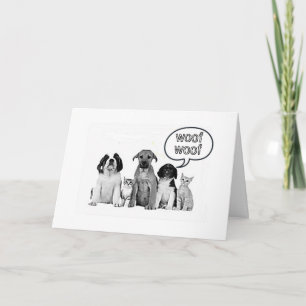 CARTÃO FELIZ ANIVERSÁRIO PARA O NOSSO FAVORITO **VETERINÁ