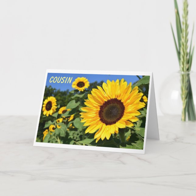 CARTÃO FELIZ ANIVERSÁRIO PARA UM "BELO PRIMO" (Frente)