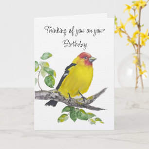 Cartão Feliz Aniversário Pássaro Tanager Ocidental Aquare