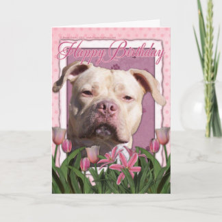 Cartão Feliz aniversario - Pitbull - menina do jérsei