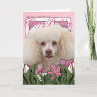 Cartão Feliz aniversário - Poodle