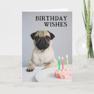 Cartão Feliz Aniversário Pug
