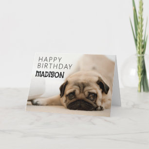 Cartão Feliz Aniversário   Pug