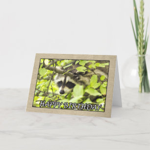 Cartão Feliz Aniversário Raccoon Na Placa De Árvore
