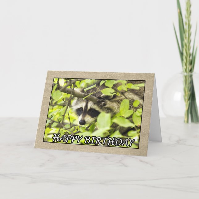 Cartão Feliz Aniversário Raccoon Na Placa De Árvore (Frente)