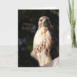 Cartão Feliz Aniversário Red Tail Hawk