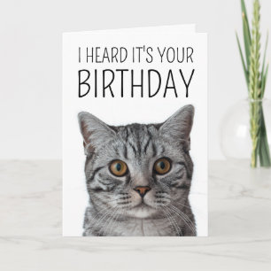 Cartão Feliz Aniversário   Rosto de Gato British Shorthai