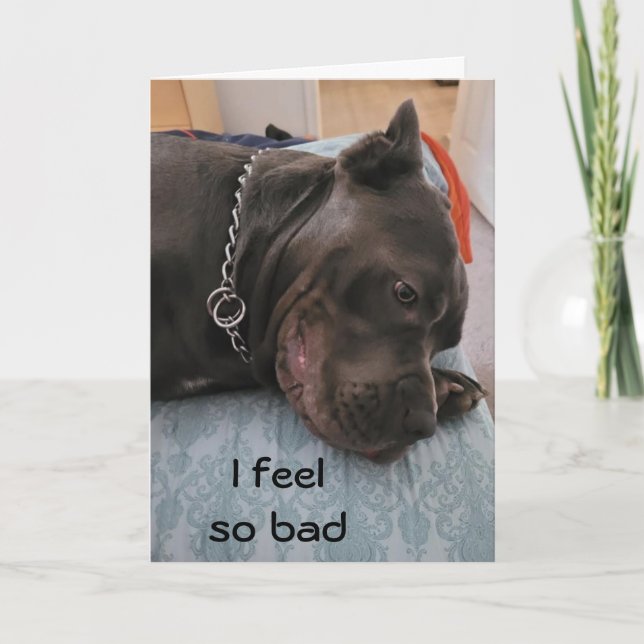 CARTÃO FELIZ ANIVERSÁRIO TARDIO - SENTE-SE TÃO CULPADO (Frente)