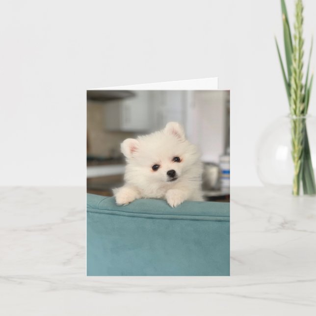 Cartão Feliz Aniversário/ Um Critério Adorável para Outro (Frente)