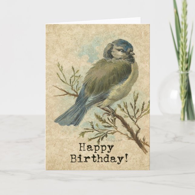 Cartão Feliz aniversário, Vintage Bluetit Bird (Frente)