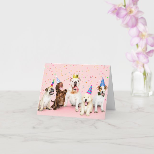 Cartão Feliz Aniversário Você Festa Animal (Orquídea)