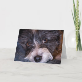 Cartão Feliz Anna, o cão Papijack