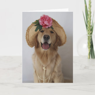 Cartão Feliz Cachorro!