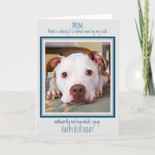 Cartão Feliz Cachorro de Aniversário Mãe Cachorro Engra
