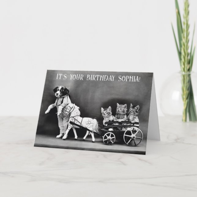 Cartão Feliz Cachorro Feliz, Cachorro Gato Pôneo Aniversá (Frente)