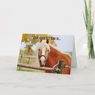 Cartão Feliz Cavalo de Aniversário