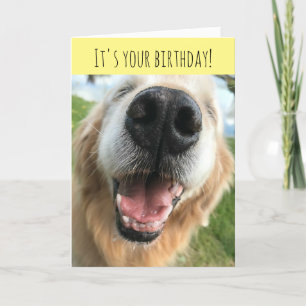 Cartão Feliz Celebração de Aniversário do Ouro Retriever