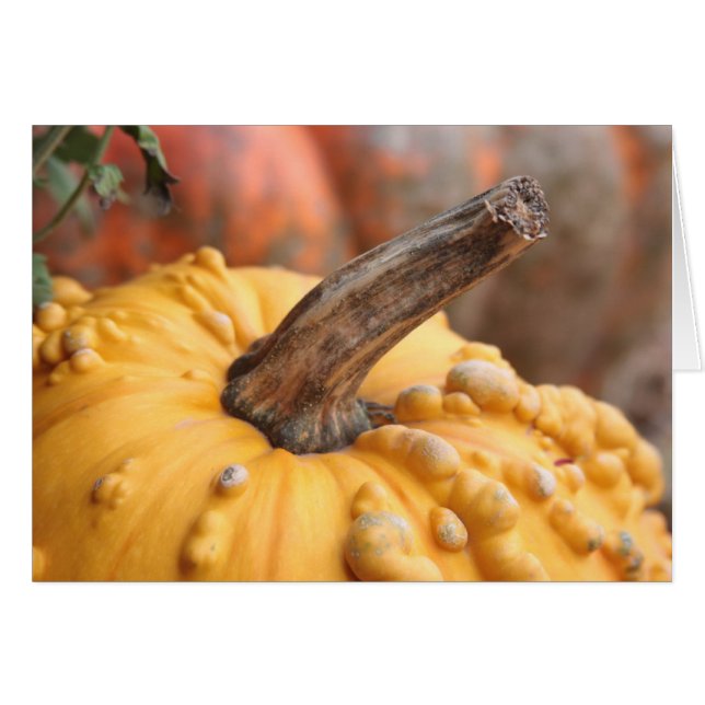 Cartão Feliz Colheita! (Frente Horizontal)