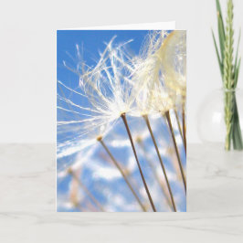 Cartão Feliz, Dandelion Dançante Poof, Poesia da Natureza