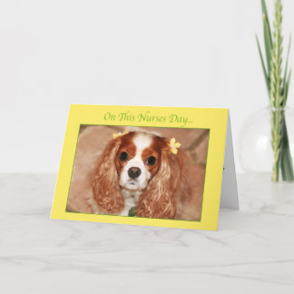 Cartão Feliz Dia das Enfermeiras Com Cavalier King Charle