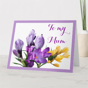 Cartão Feliz Dia das Mães floral de crocus amarelo roxo 